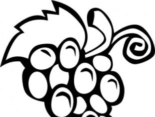 310x233 Top 72 Grapes Clip Art