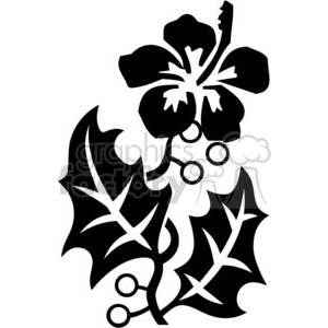 300x300 Royalty Free Hibiscus Black And White Art 380113 Vector Clip Art