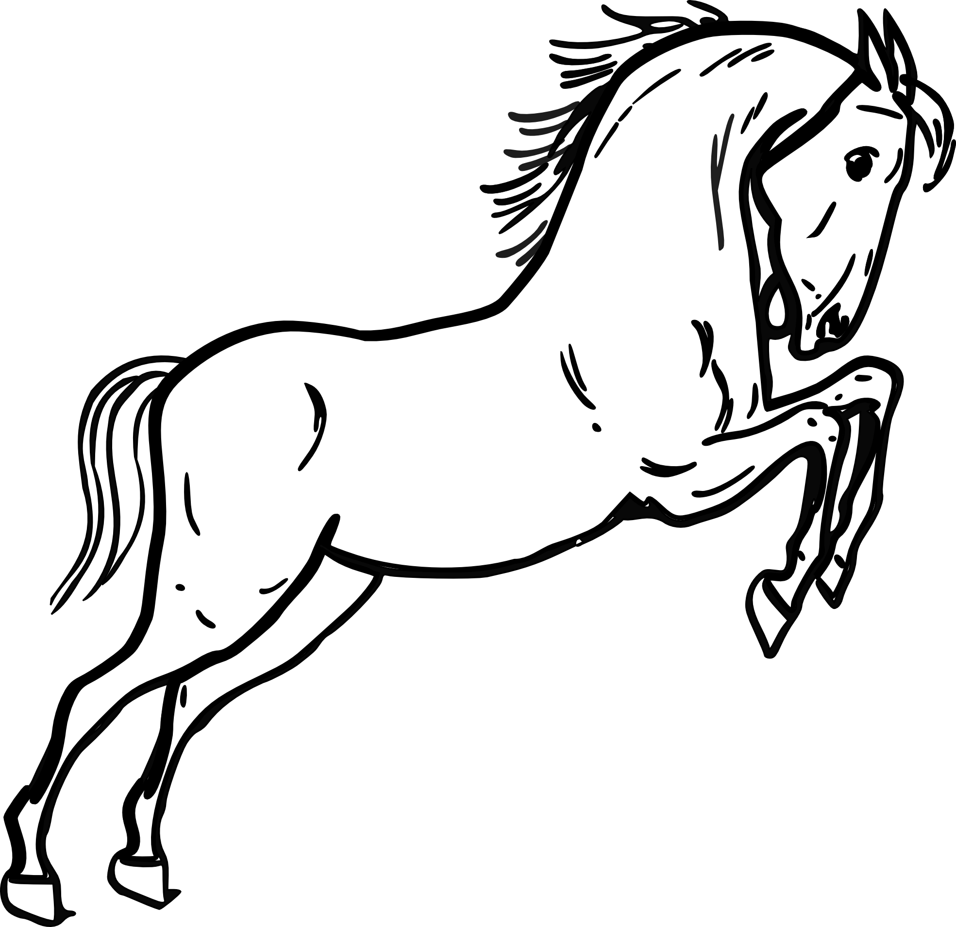1969x1909 Drawn Horse Black And White