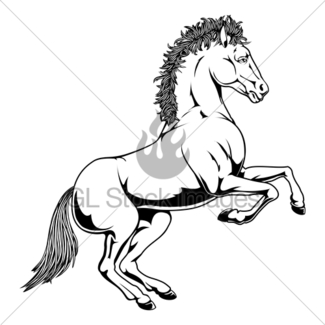 325x325 Rearing White Horse Gl Stock Images