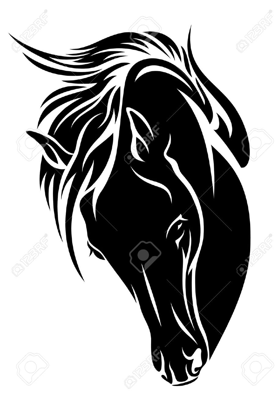 909x1300 15 Black And White Horse Head Pictures Ideas Black And White