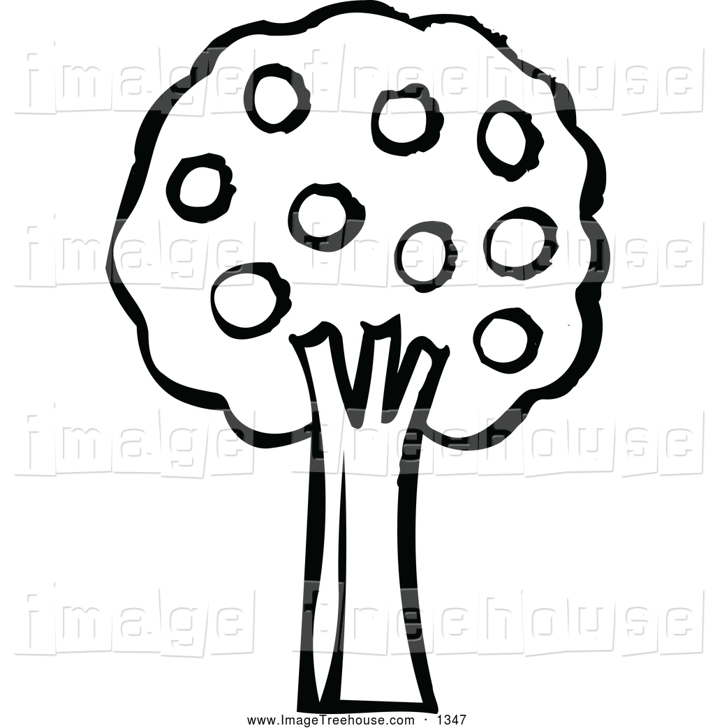 1024x1044 Best Tree Clipart Black And White