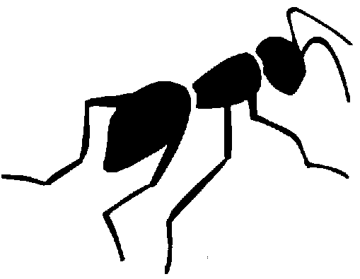 509x395 Insect Clipart Black And White Free Images