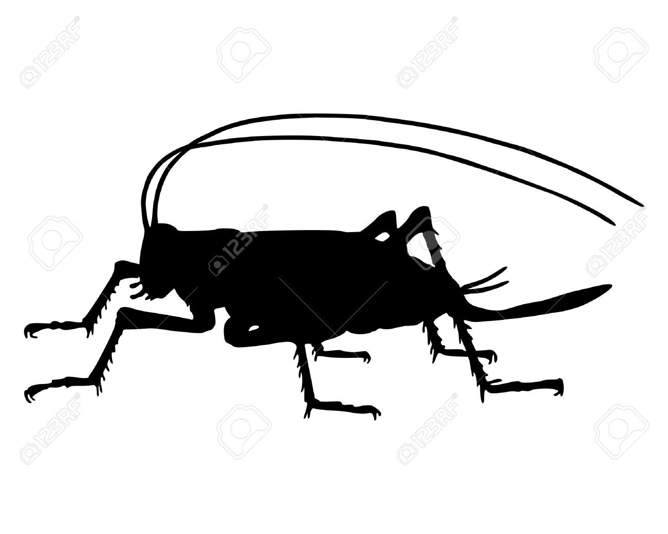 1300x1040 Grasshopper Clipart Black And White