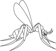 195x178 Black And White Insect Clipart
