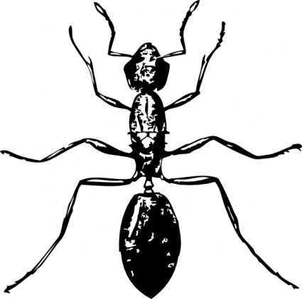425x421 Black Ant Bug Lineart Insect Vector, Free Vectors
