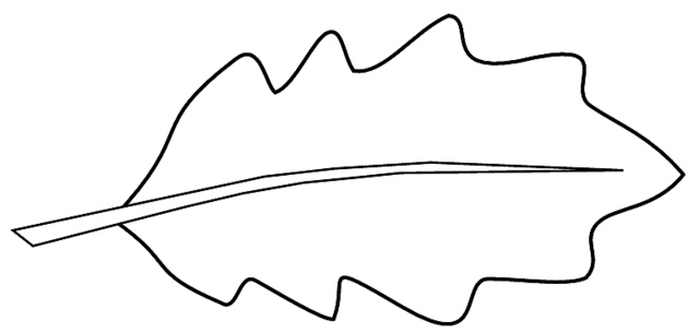 640x305 Leaf Clipart Coloring