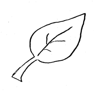 300x300 Pattern Clipart Leaf