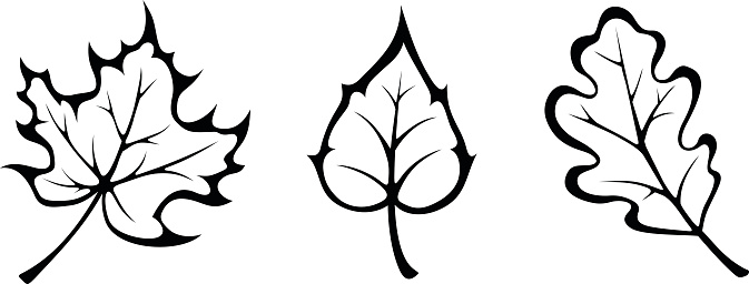 673x256 Cute Fall Leaf Clipart Black And White