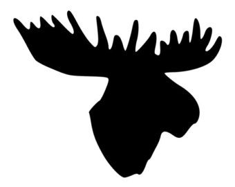 340x270 White Moose Head Etsy