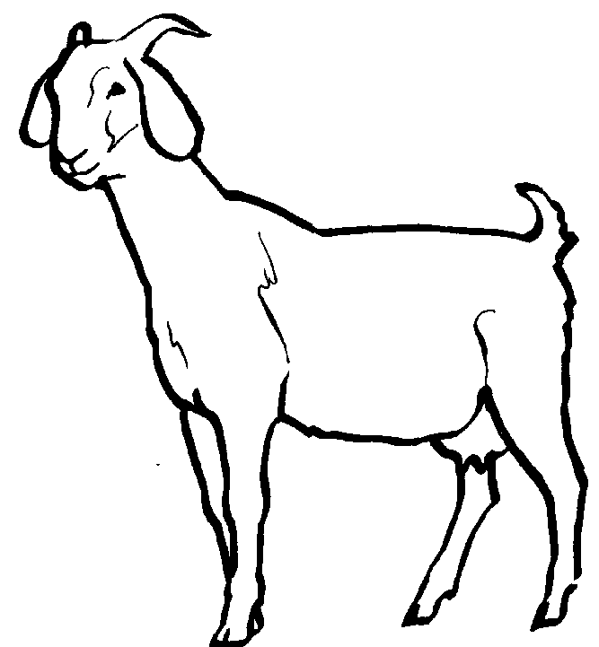 667x721 Mountain Goat Clipart Black And White