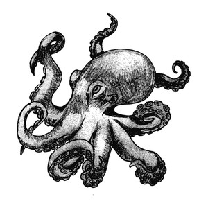 300x300 Illustration Of An Octopus Under The Sea On A White Background