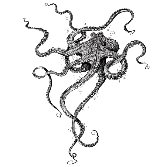 550x550 Octopus Duvet Cover By Taojb Society6