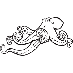 300x300 Octopus Black And White Cliparts Red Octopus Clipart