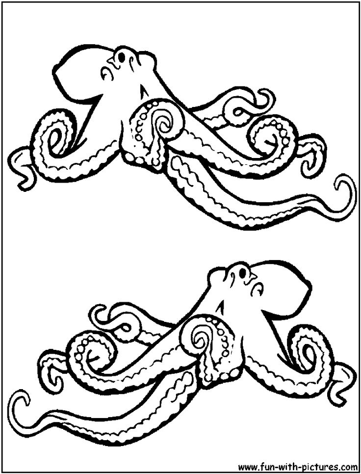 736x966 Octopus Clipart Coloring Book