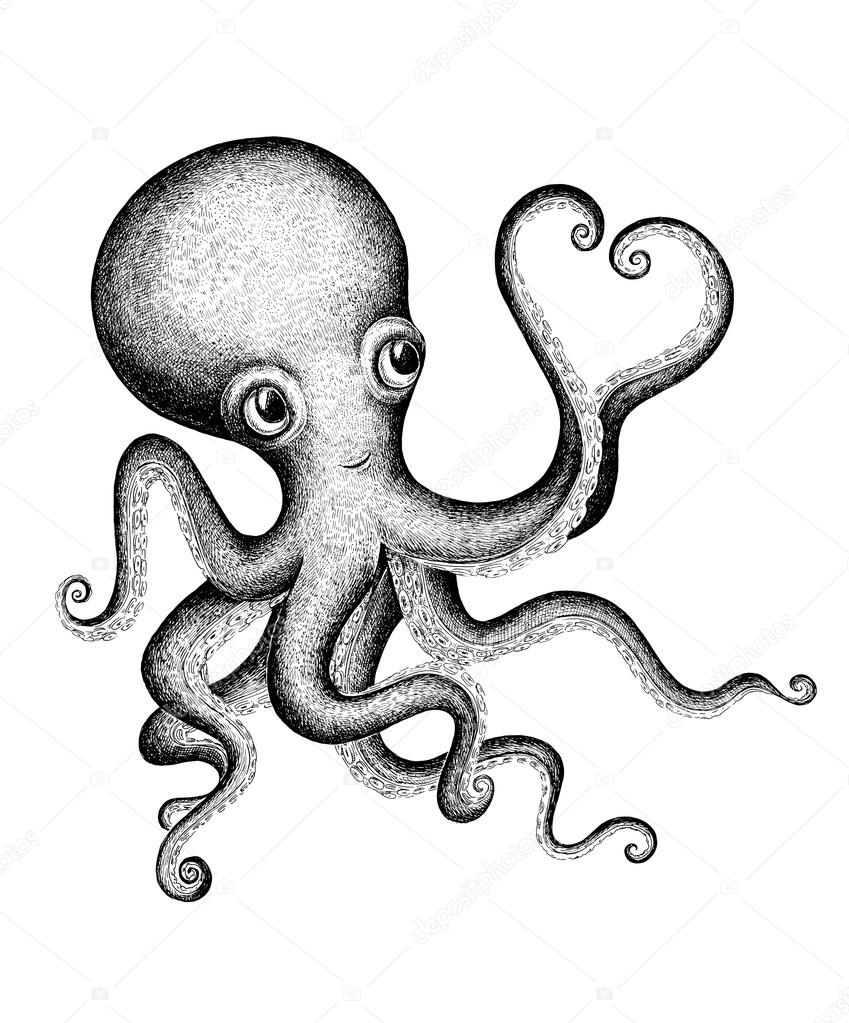 849x1023 Black And White Octopus Showing A Heart Symbol. Raster Illustrat