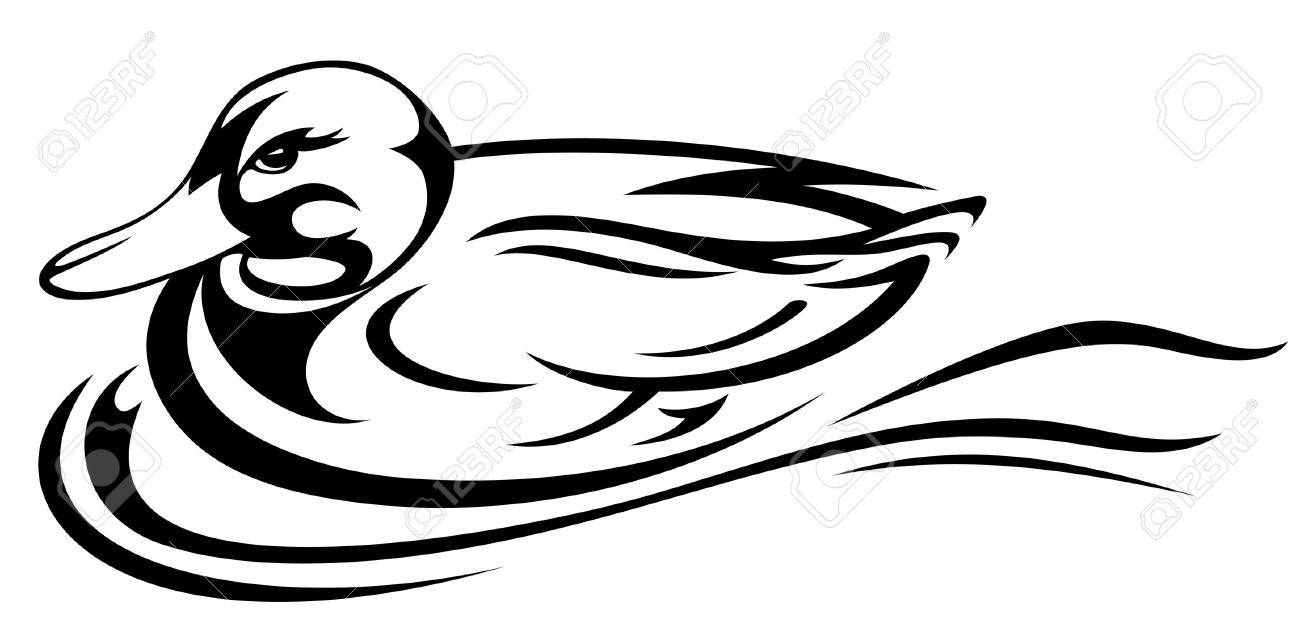 1300x644 Swimming Duck Illustration