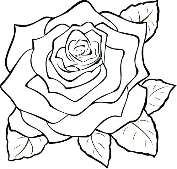 564x537 Rose Clipart Black Roses Vector Rose Clipart Simple Memocards.co