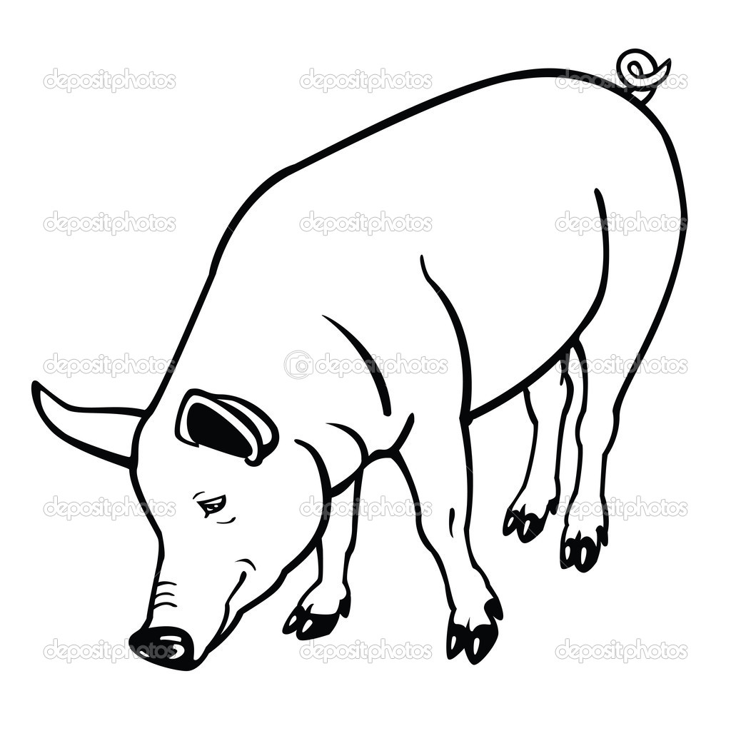 Black And White Pig Clipart Free download on ClipArtMag