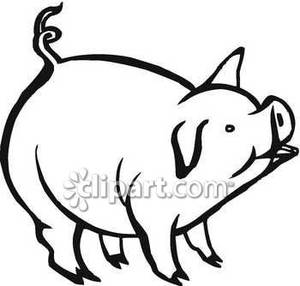 300x286 Black And White Pig