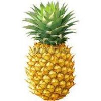 200x200 Pineapple Black And White Clipart