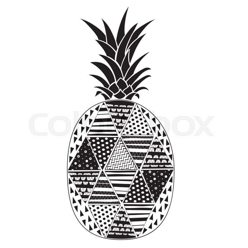 800x800 Pineapple. Black And White Vector Illustration. Stylized Tropical