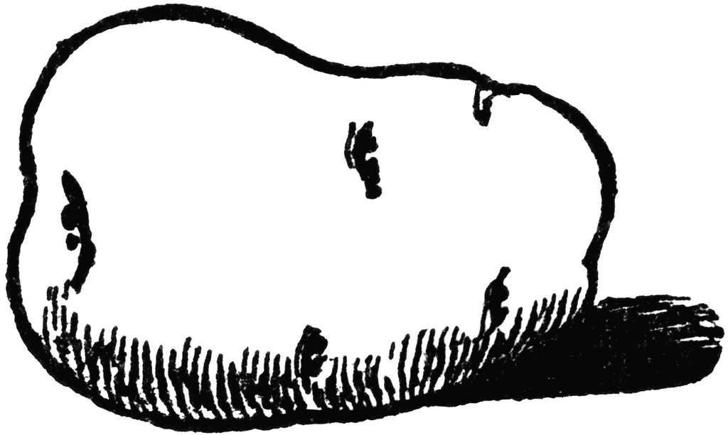 1024x613 Potato Clip Art Black And White Clipart Panda