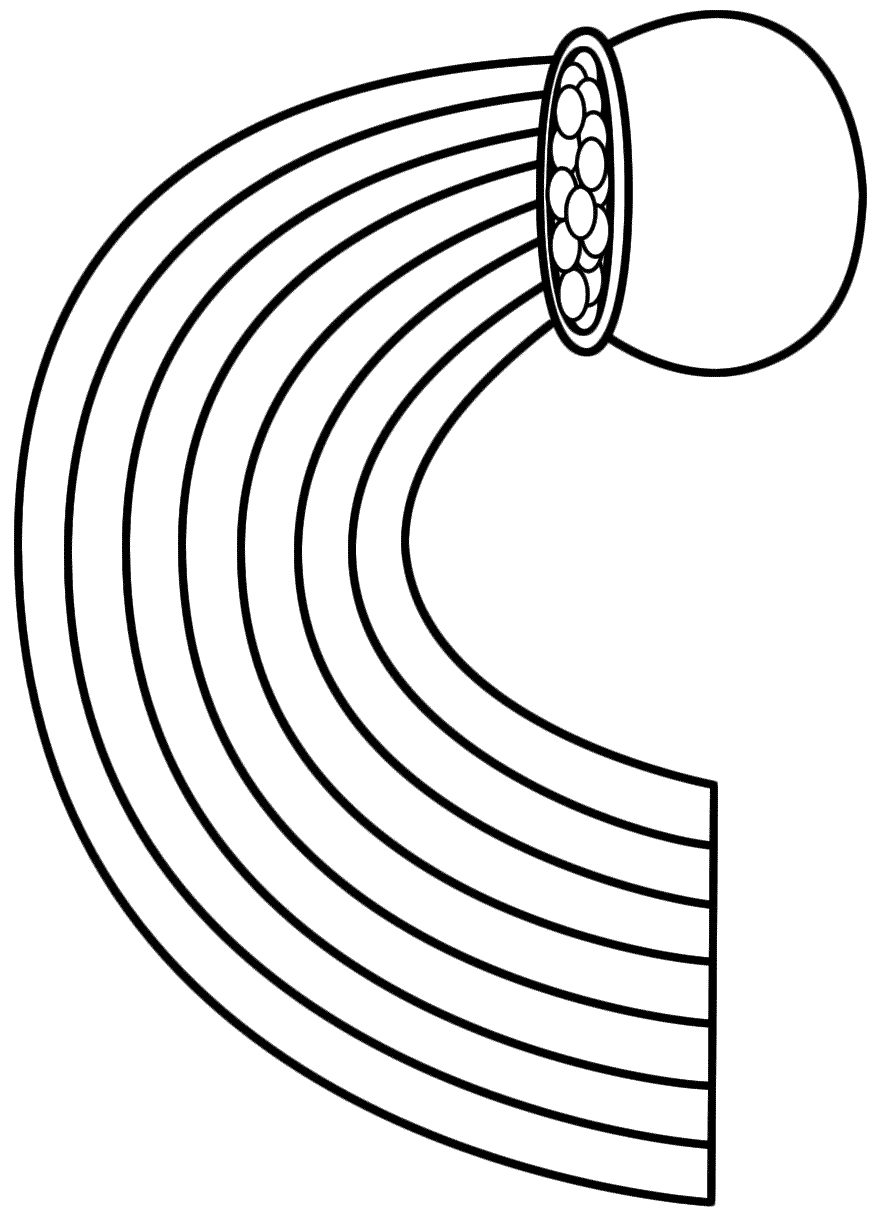 877x1215 Rainbow Black And White Black And White Rainbow Clipart