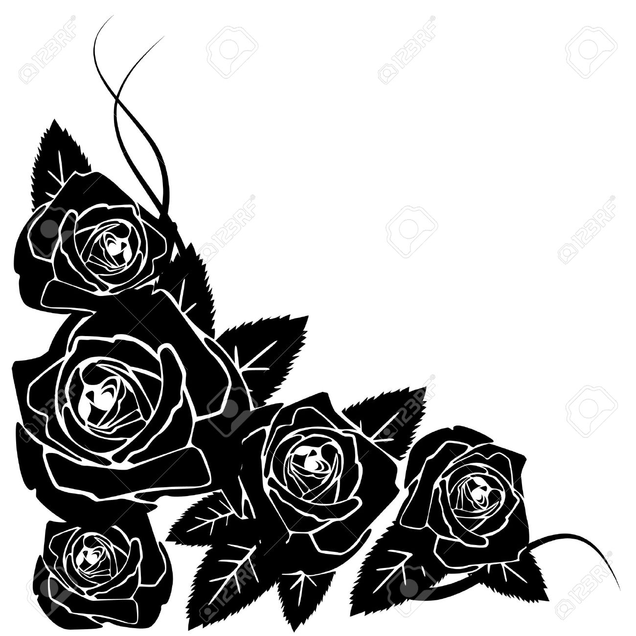 1300x1300 Black Rose Clipart