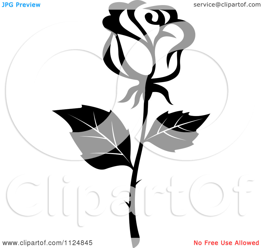 1080x1024 Black Rose White Flower Clipart