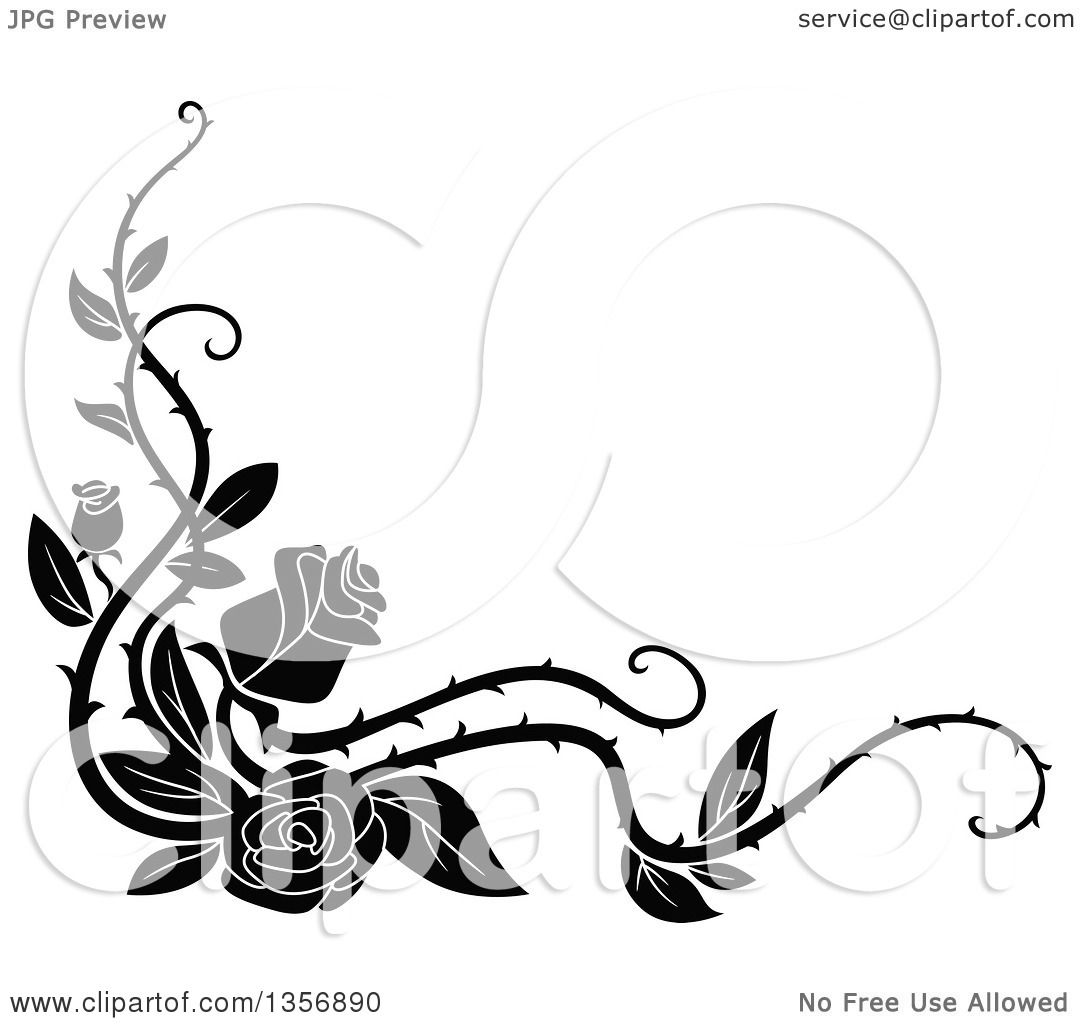 1080x1024 Clipart Of A Black And White Corner Floral Rose Vine Border Design