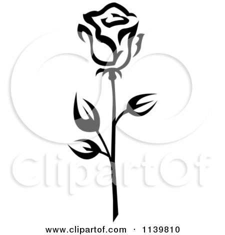 450x470 Top 85 White Rose Clipart