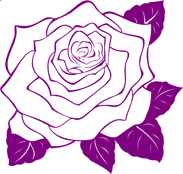 600x572 White Rose With Purple Outline Clip Art