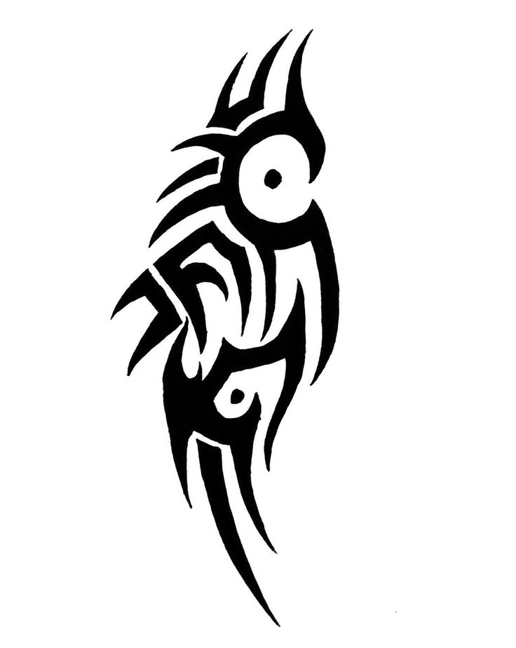 736x924 42 Best Tribal Otter Tattoo Images Artistic Tattoos