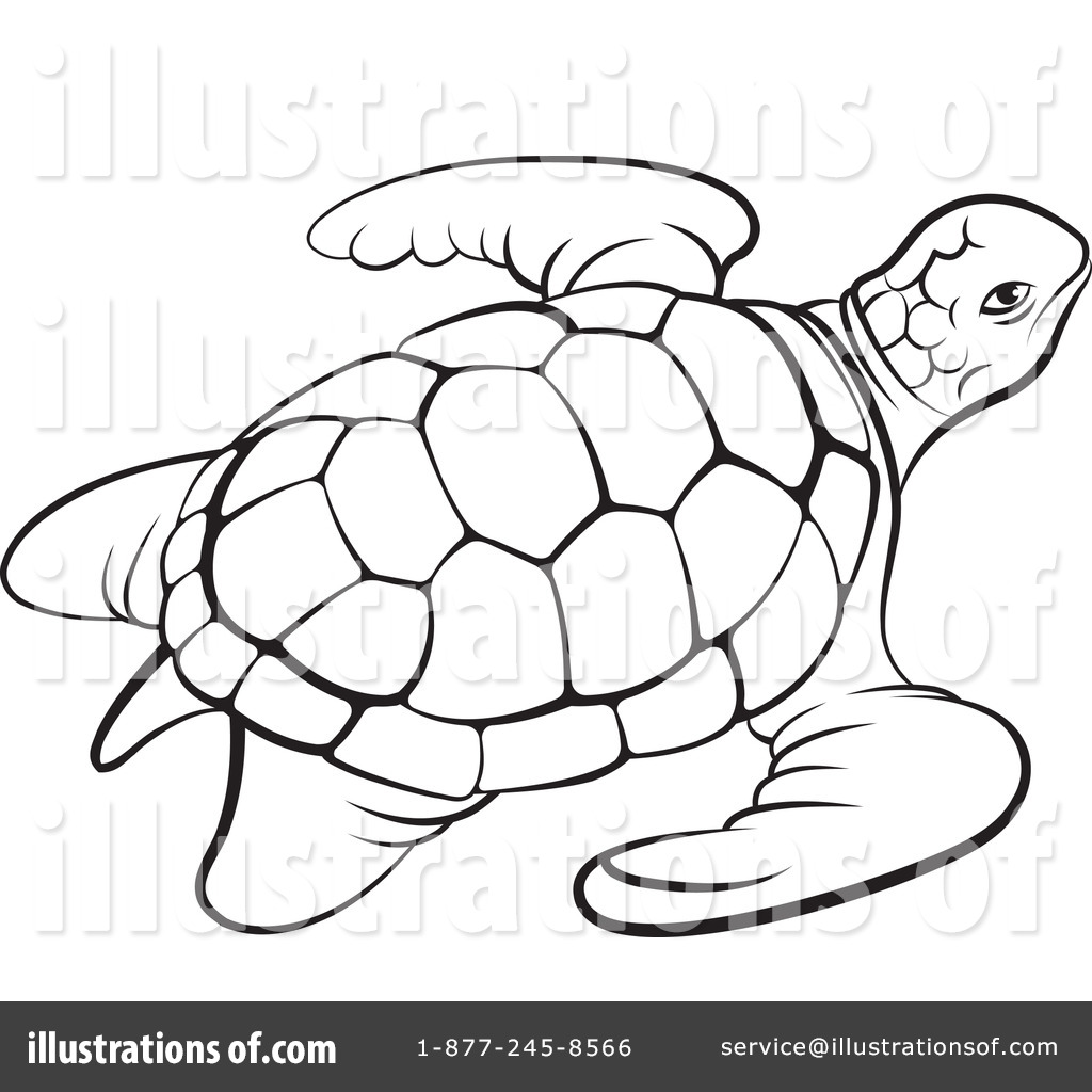 1024x1024 Sea Turtle Clipart