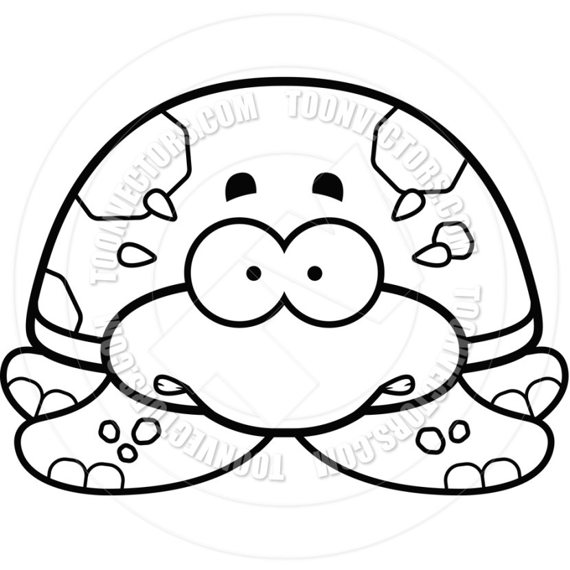 830x830 Turtle Clipart Black And White
