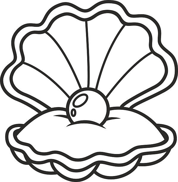 598x612 Pearl Seashell Clipart, Explore Pictures