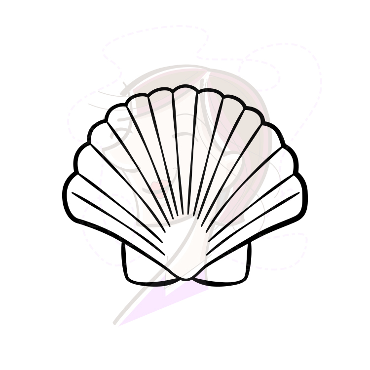 750x750 Beach Seashell Clipart, Explore Pictures