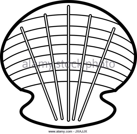 550x540 Spiral Shell Black And White Stock Photos Amp Images