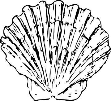 359x326 Free Black And White Seashell Clipart, 1 Page Of Public Domain