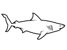 236x177 Great White Shark Clipart Tiger Shark