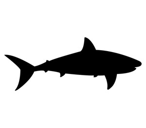 300x263 Great White Shark Royalty Free Photos And Vectors