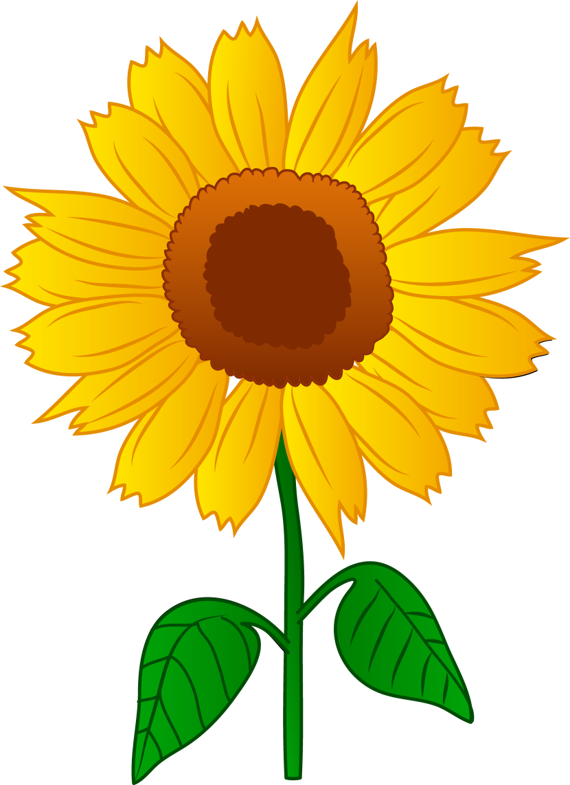 830x1143 Sunflower Clip Art
