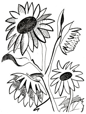 301x400 Sunflower Black And White Free Sunflower Clipart Black And White