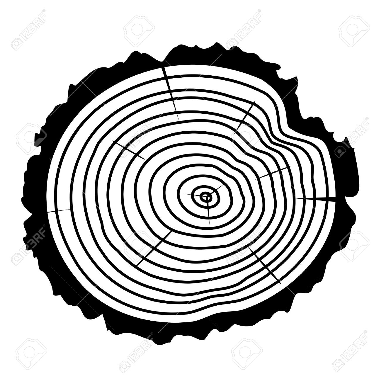 1300x1300 Black And White Wooden Cut Of A Tree Log With Concentric Rings