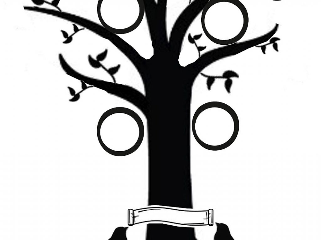 1024x768 Family Tree Clipart Black And Are Palm Trees Deciduous