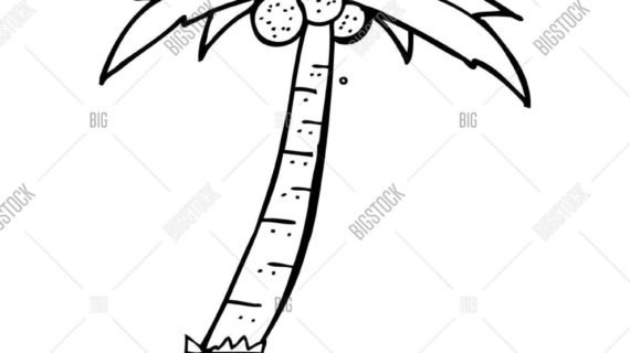 570x320 Simple Drawing Of A Palm Tree Simple Black And White Tree Drawing
