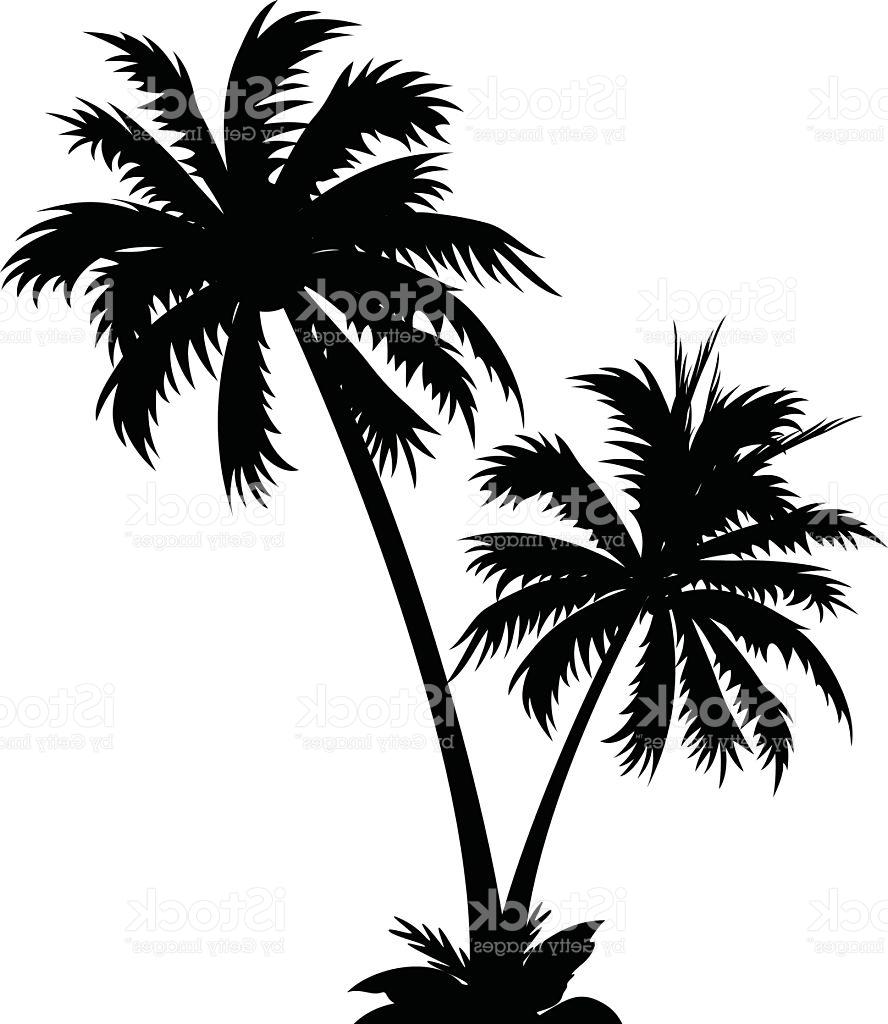 888x1024 Best Free Black And White Vector Icon Of Two Palm Trees Drawing