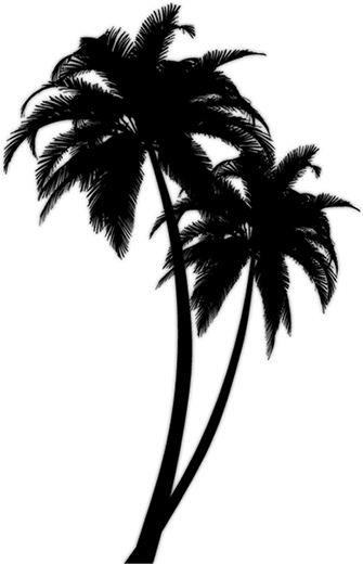 335x520 Black Palm Tree Tattoo Design
