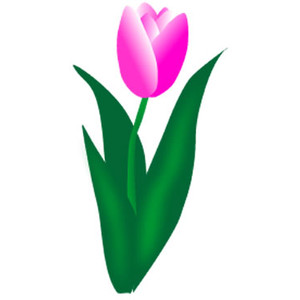 300x300 Clip Art Images Of Tulip Clipart